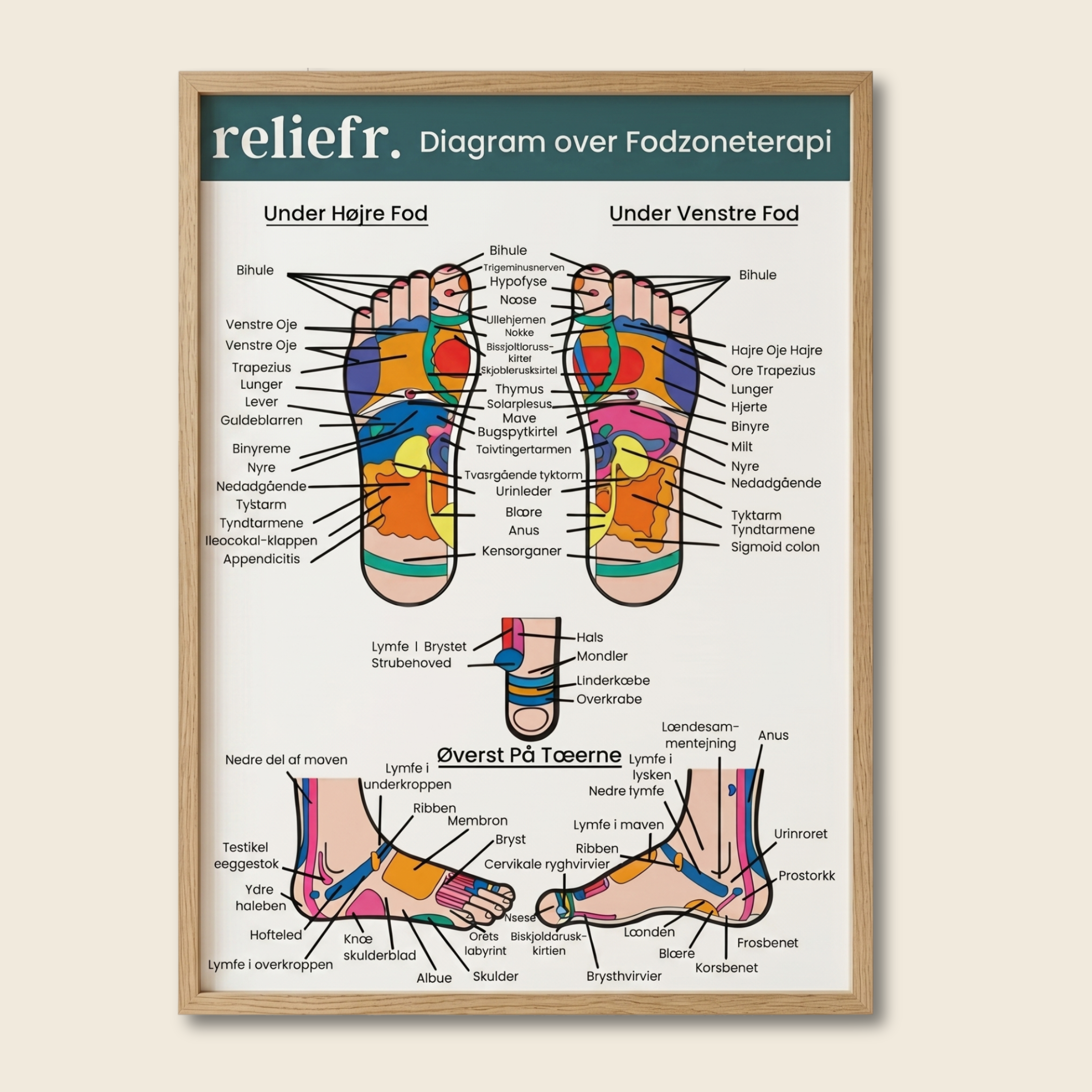 Fotzonsdiagram