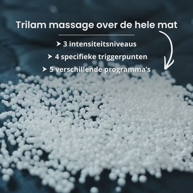 #lang_nl,be